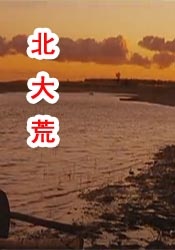 护士长与护士做爰